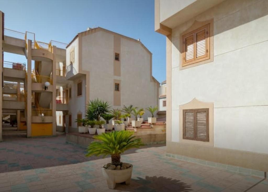 "Vero Vijola" In Torrevieja Dış mekan fotoğraf