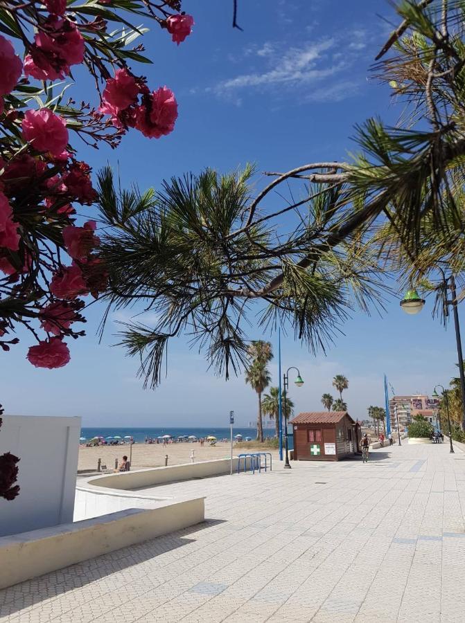 "Vero Vijola" In Torrevieja Dış mekan fotoğraf